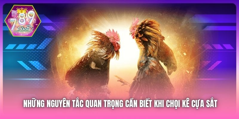 Những nguyên tắc quan trọng cần biết khi chọi kê cựa sắt