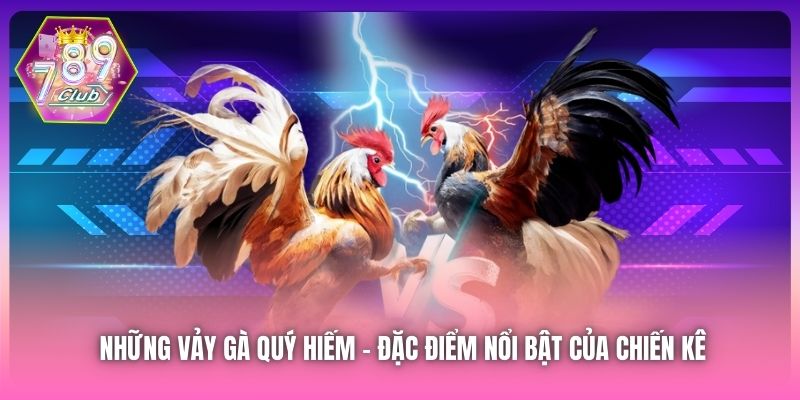 Những Vảy Gà Quý Hiếm - Đặc Điểm Nổi Bật Của Chiến Kê